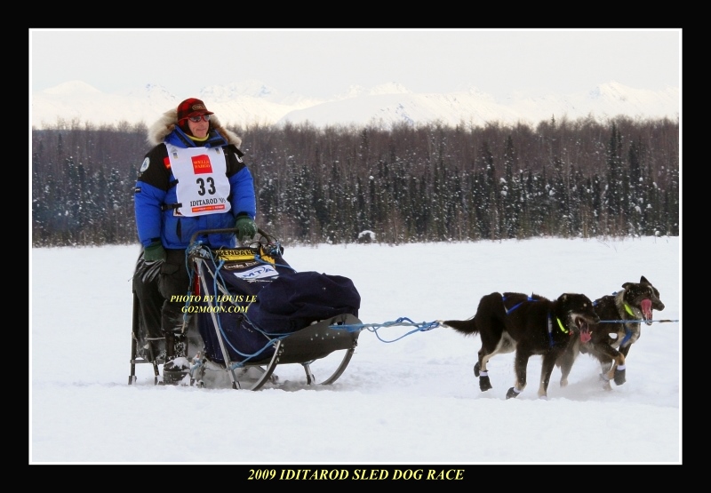 Martin Buser on the Trail