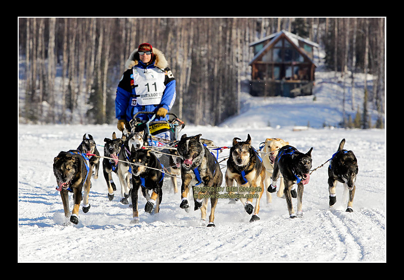michelle phillips musher. Mushing at age seventeen