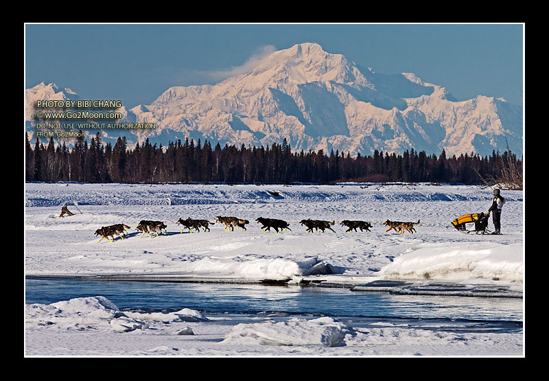 Brent Sass Iditarod