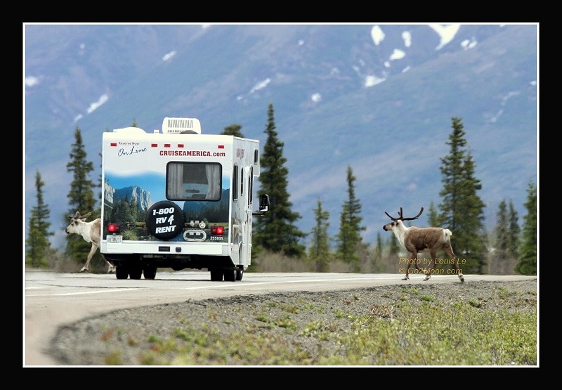 RV Travel in Alaska