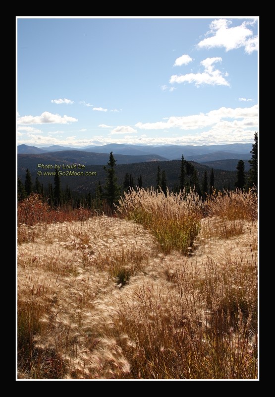 Yukon Landscape