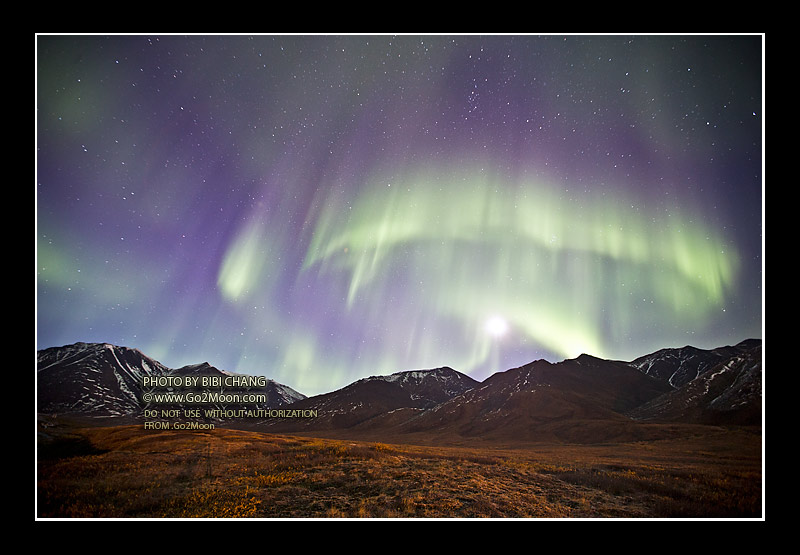 Aurora Co-rotating Interaction Regions