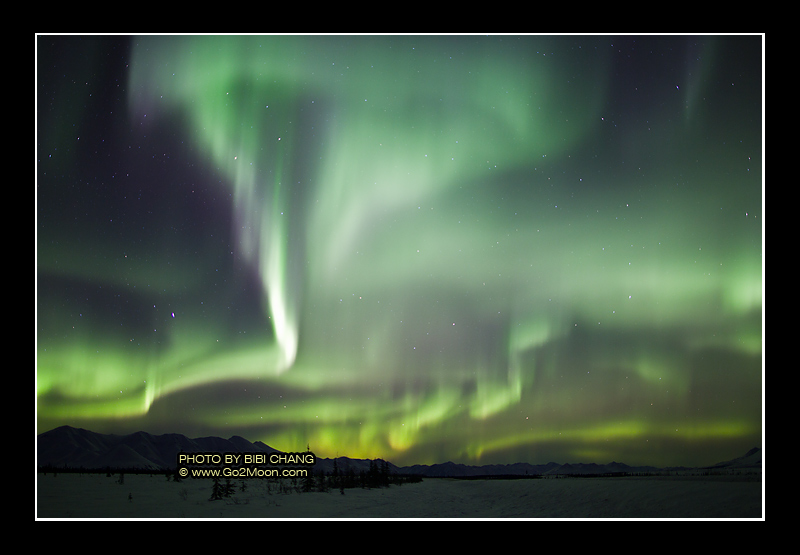 Northern Light
