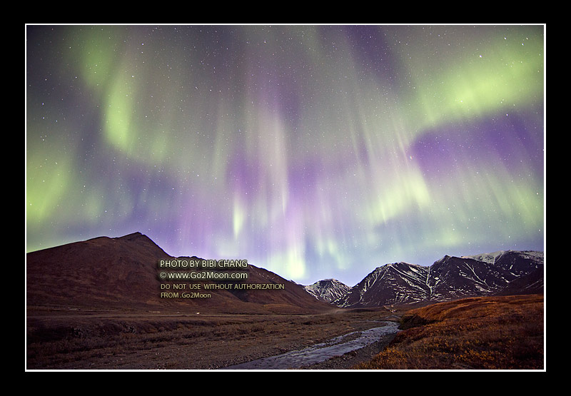 Purple Aurora