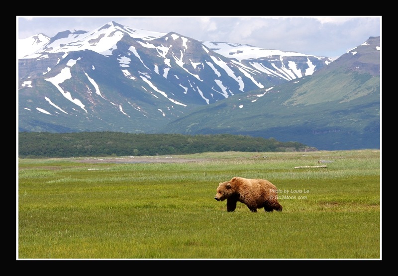 Katmai Landscape