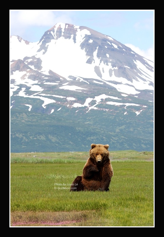 Katmai Bear Mountain Landscape