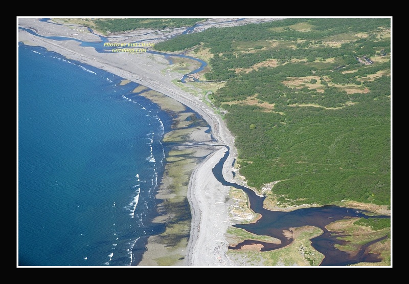 Hallo Bay Aerial View