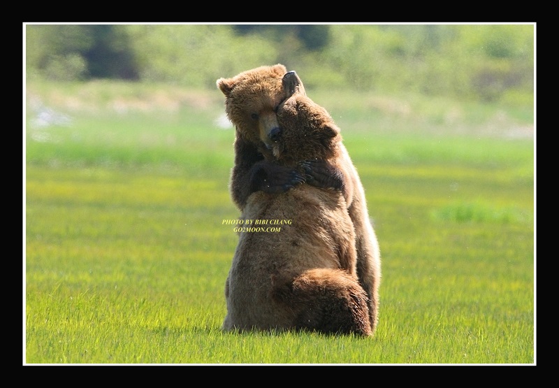 Bear Hug