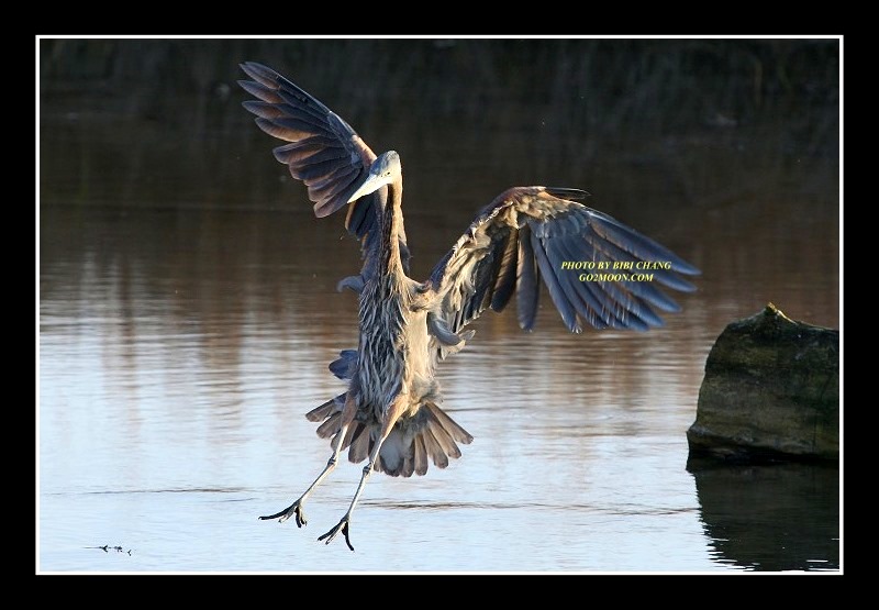 Stretching the Wings