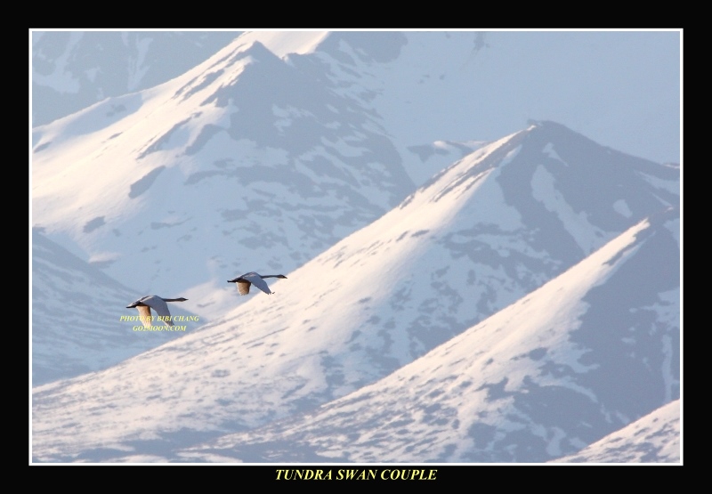 Alaska Landscape