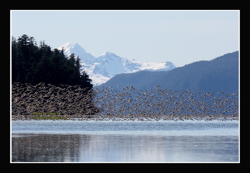 Hartney Bay