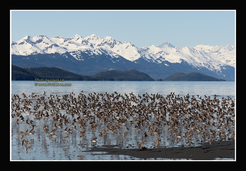 Cordova Bay
