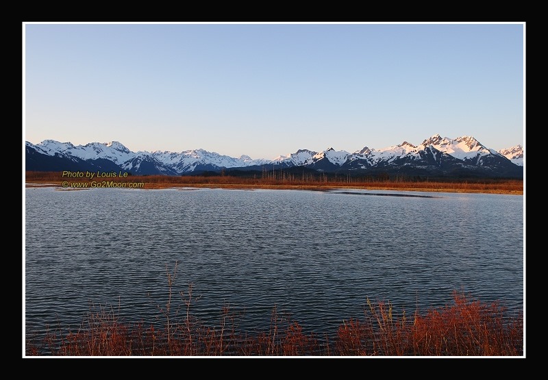 Copper River Delta Landscape