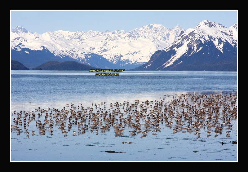 Hartney Bay