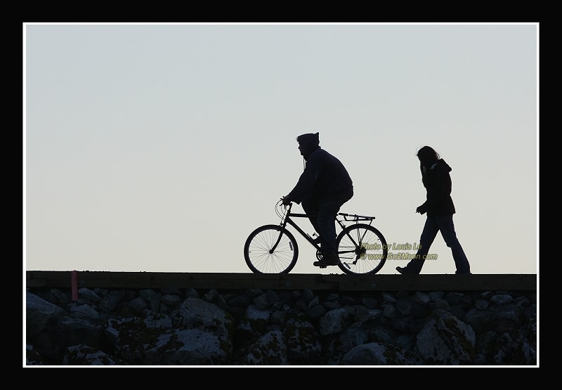 Bike Silhouette