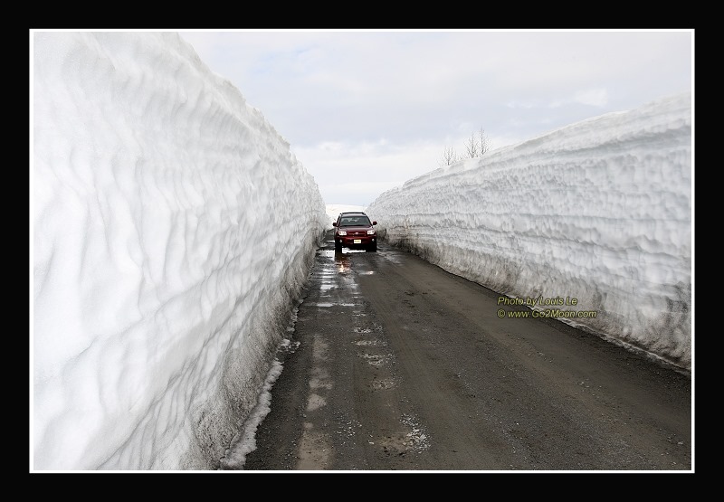 Driving in Snow Trough