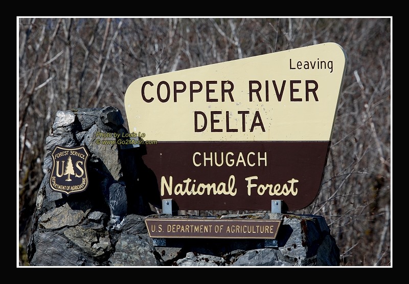 Copper River Delta