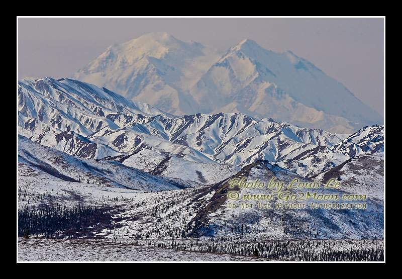 Denali in Winter