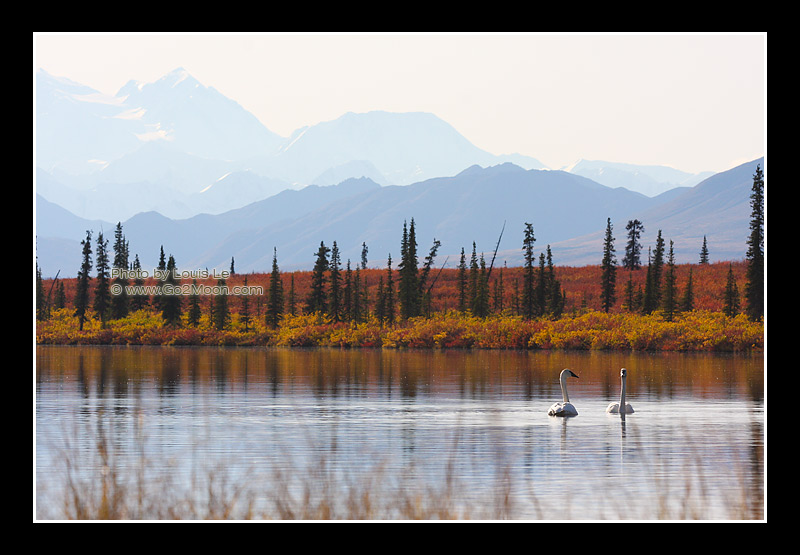 Alaska Landscape