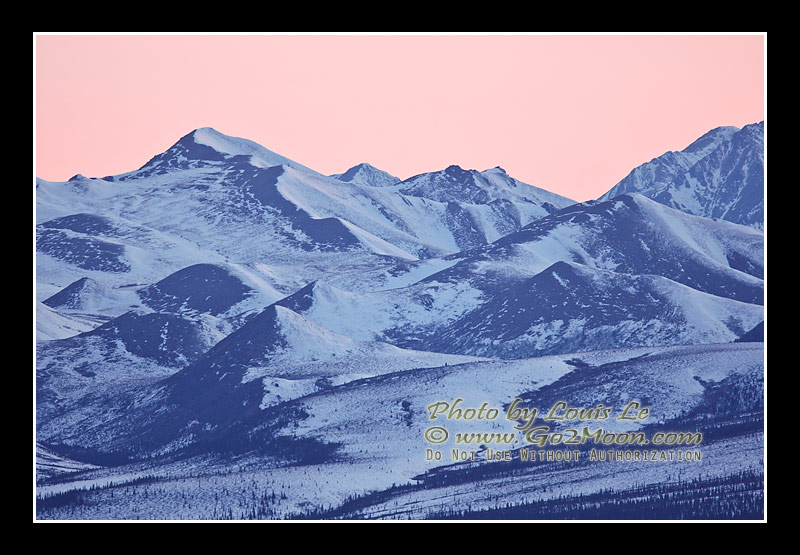 Denali Park in Winter
