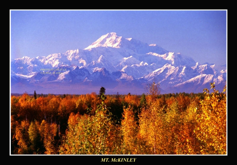 Denali South View