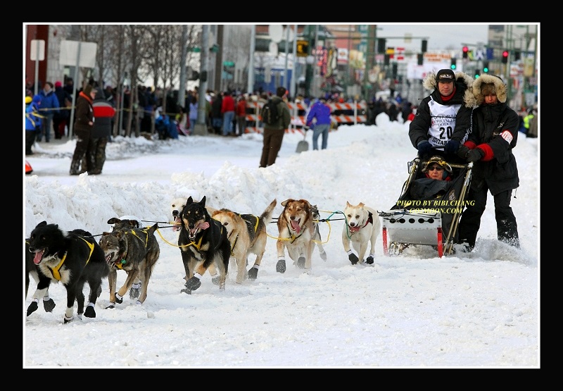 Hans Gatt 2010 Iditarod