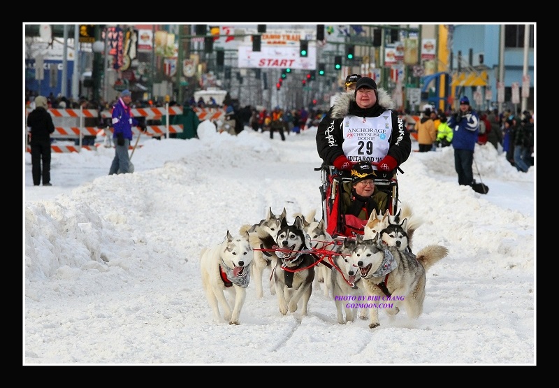 Karen Ramstead Siberian Husky