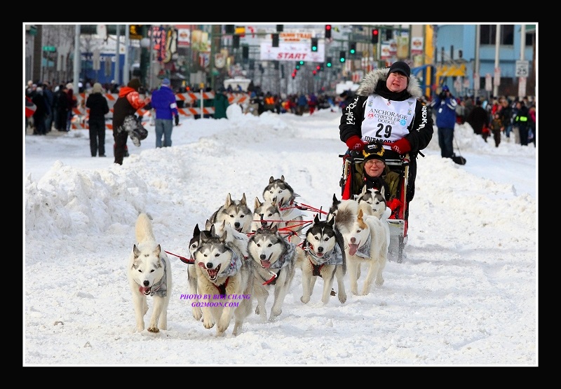 Karen Ramstead Dog Team