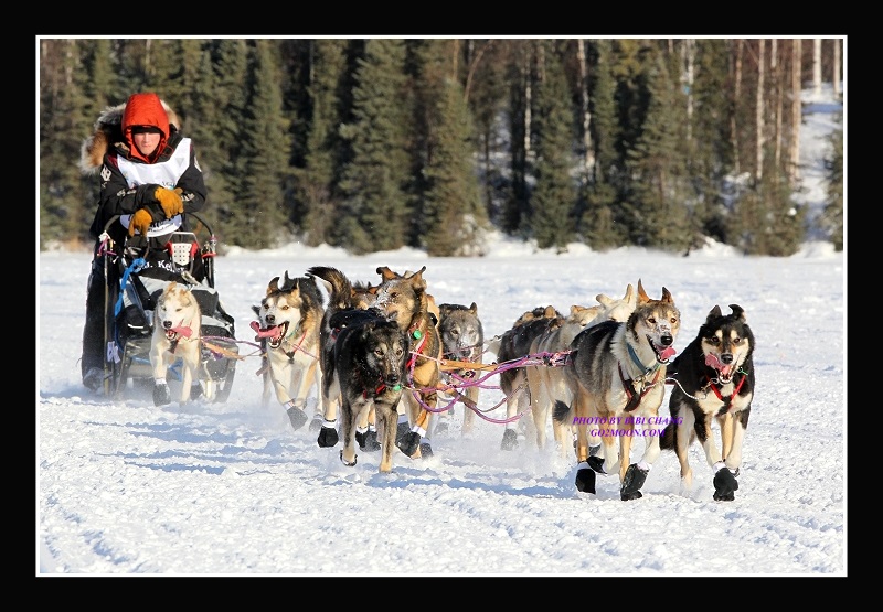 Dallas Seavey 2010 Iditarod