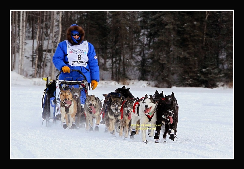John Baker dog team