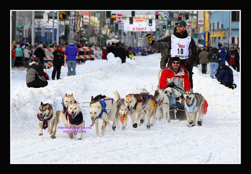 Justin Savidis Iditarod