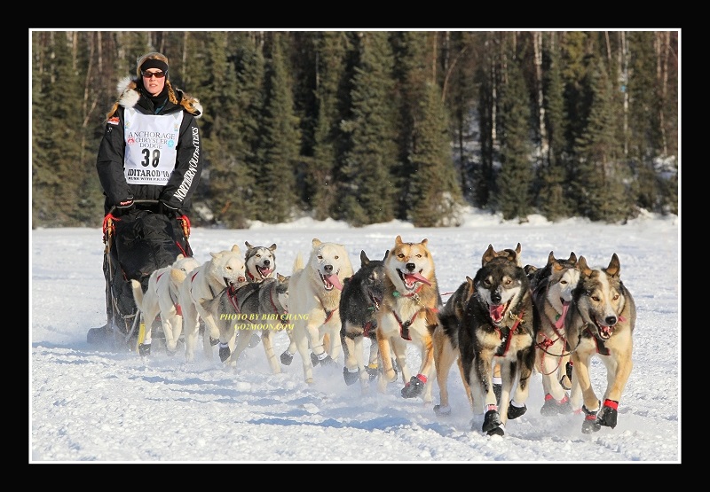 Kristy Berington dog