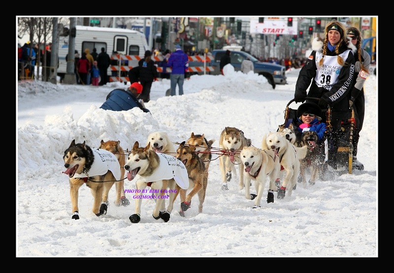 Kristy Berington Iditarod