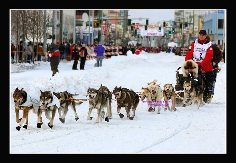 Linwood Fiedler Dog Team