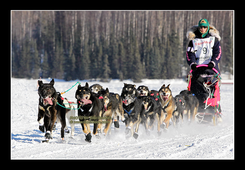 Zoya DeNure Iditarod Trail