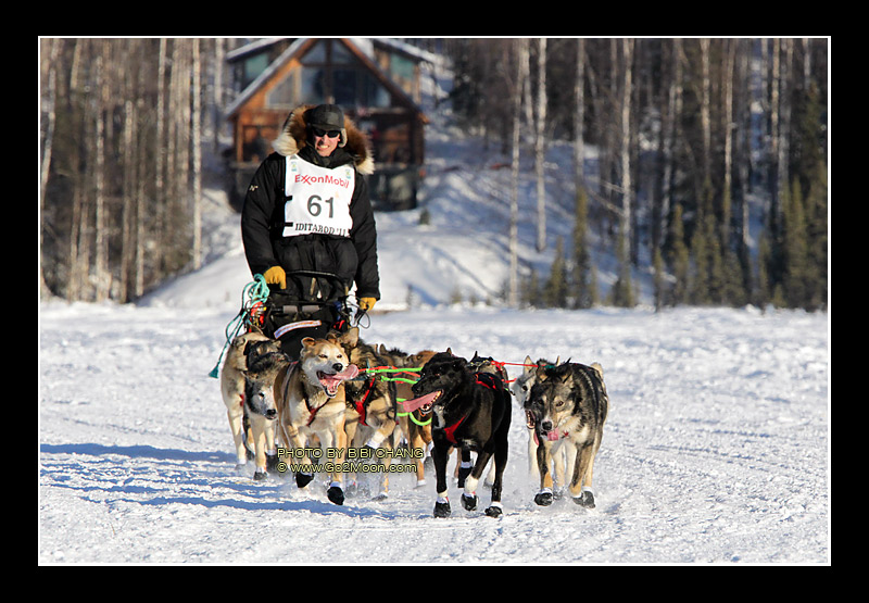 Matt Hayashida Iditarod