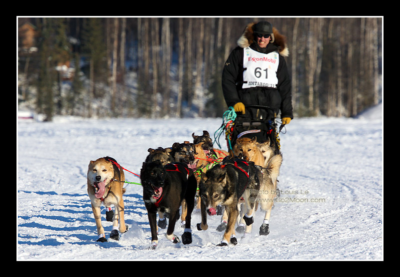 Matt Hayashida Iditarod