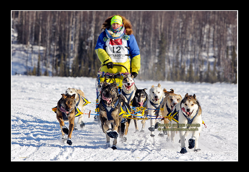 Melissa Owens Scratch