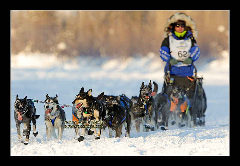 Rohn Buser Iditarod