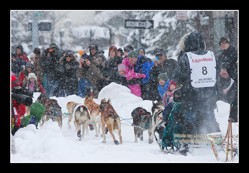 Snowy Iditarod Day
