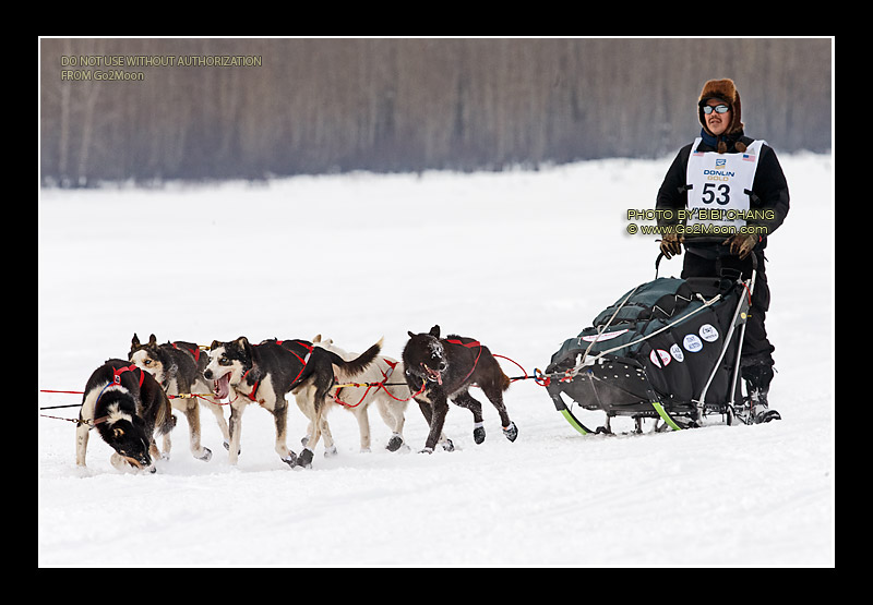 Louie Ambrose Iditarod
