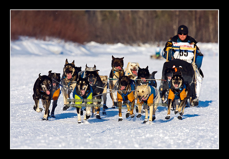 Elliot Anderson Iditarod