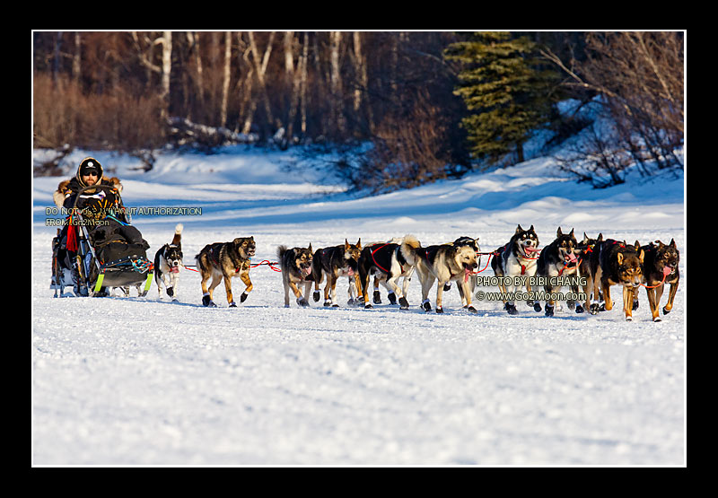 Rick Casillo Iditarod