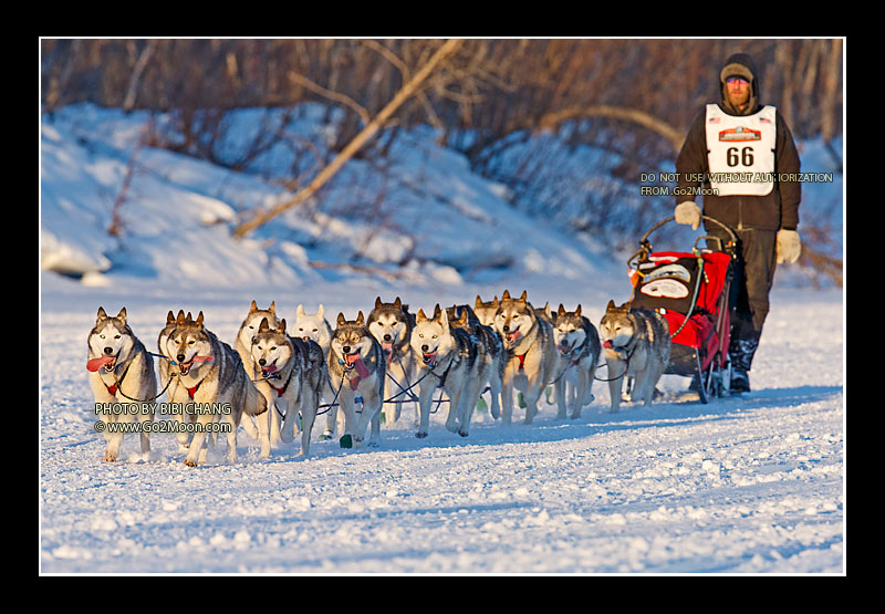 Mike Ellis Iditarod