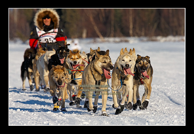 Paul Gebhardt Iditarod