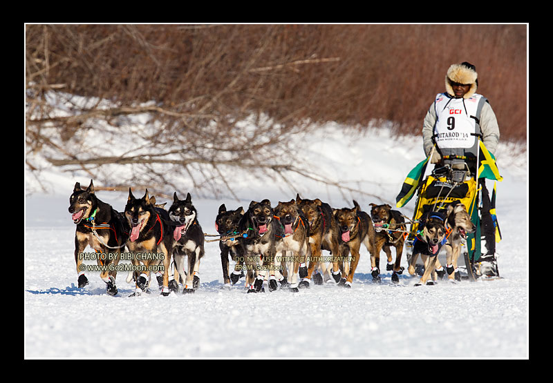 Newton Marshall Iditarod