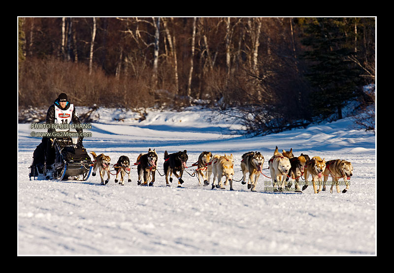 Dallas Seavey Iditarod