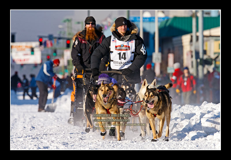 Dallas Seavey Iditarod