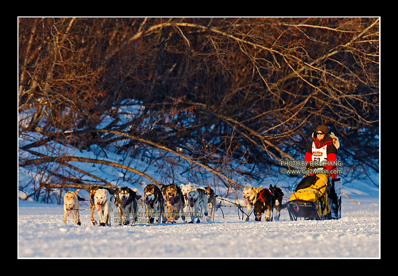 Danny Seavy Iditarod