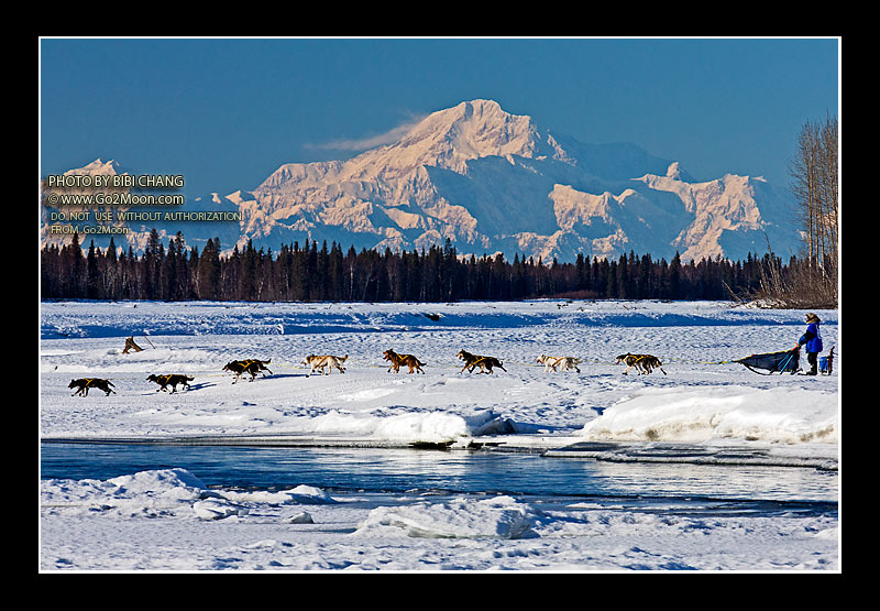 Tore Albrigtsen Iditarod